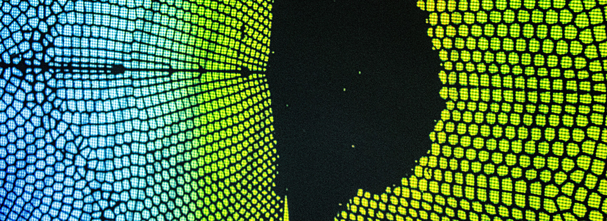 Decorative image of florescent pattern on a black background Credit LMogas-Soldevila DUMOLAB